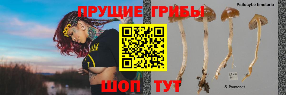 Галлюциногенные грибы Magic Shrooms Тосно